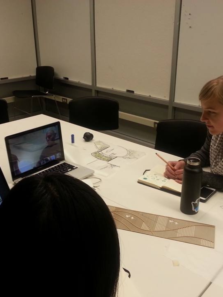 design_skyping with occupational therapy students