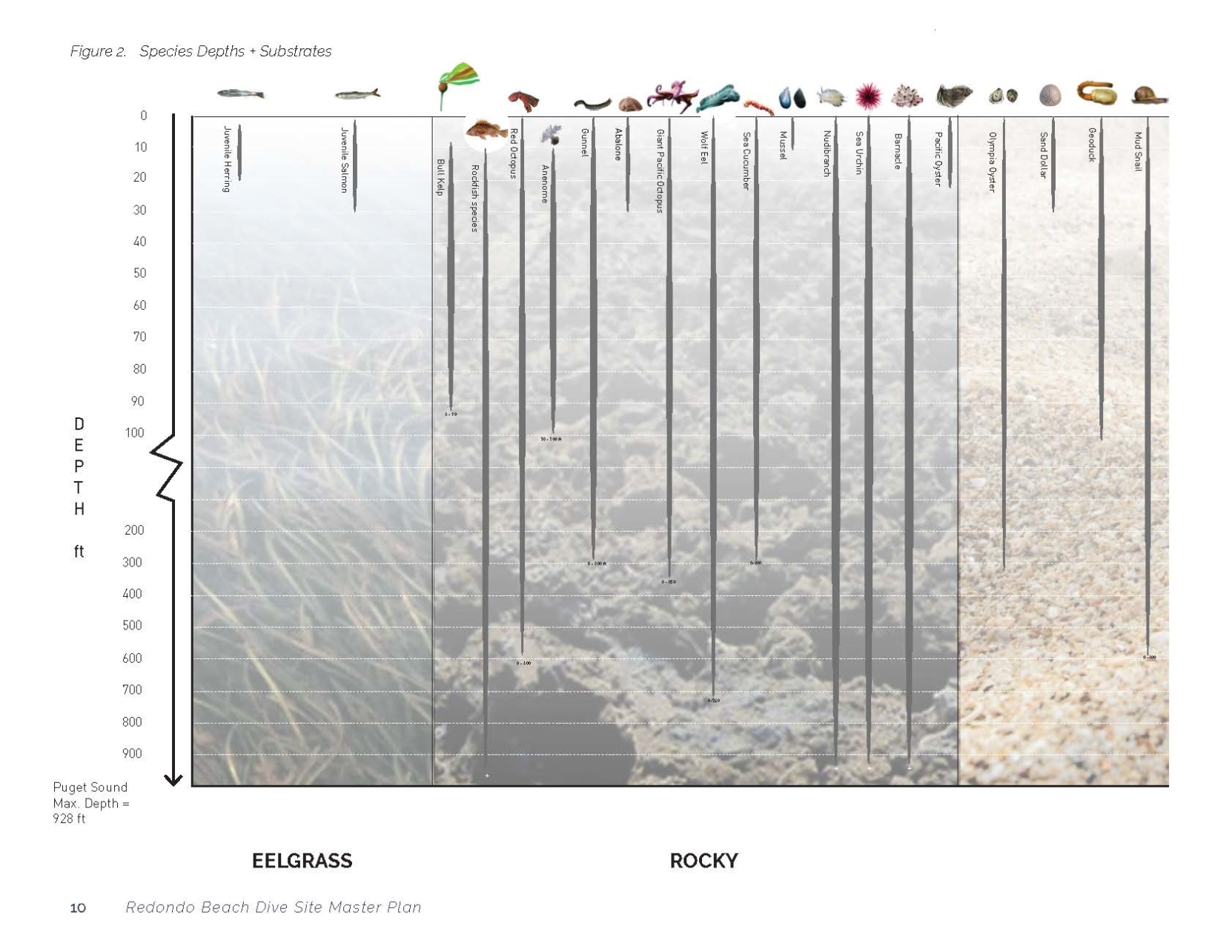 180808_ReefMasterPlan_Page_16