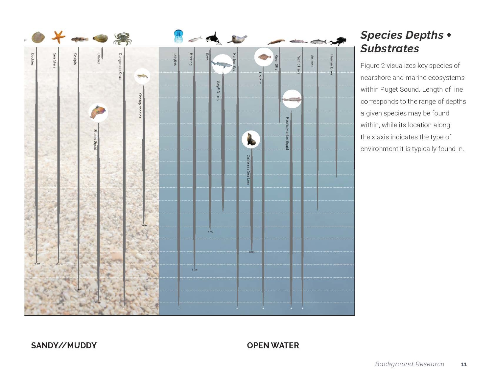 180808_ReefMasterPlan_Page_17