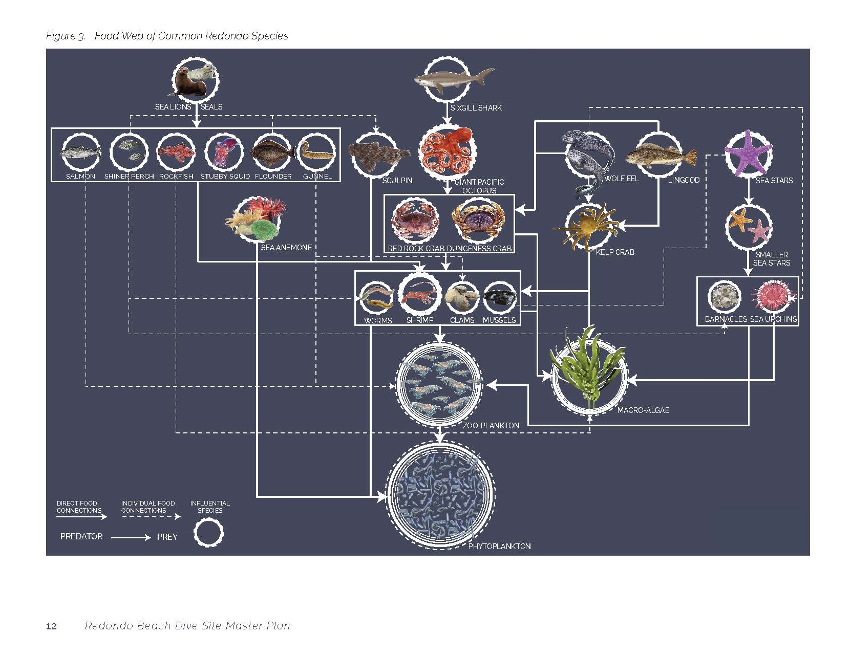 180808_ReefMasterPlan_Page_18