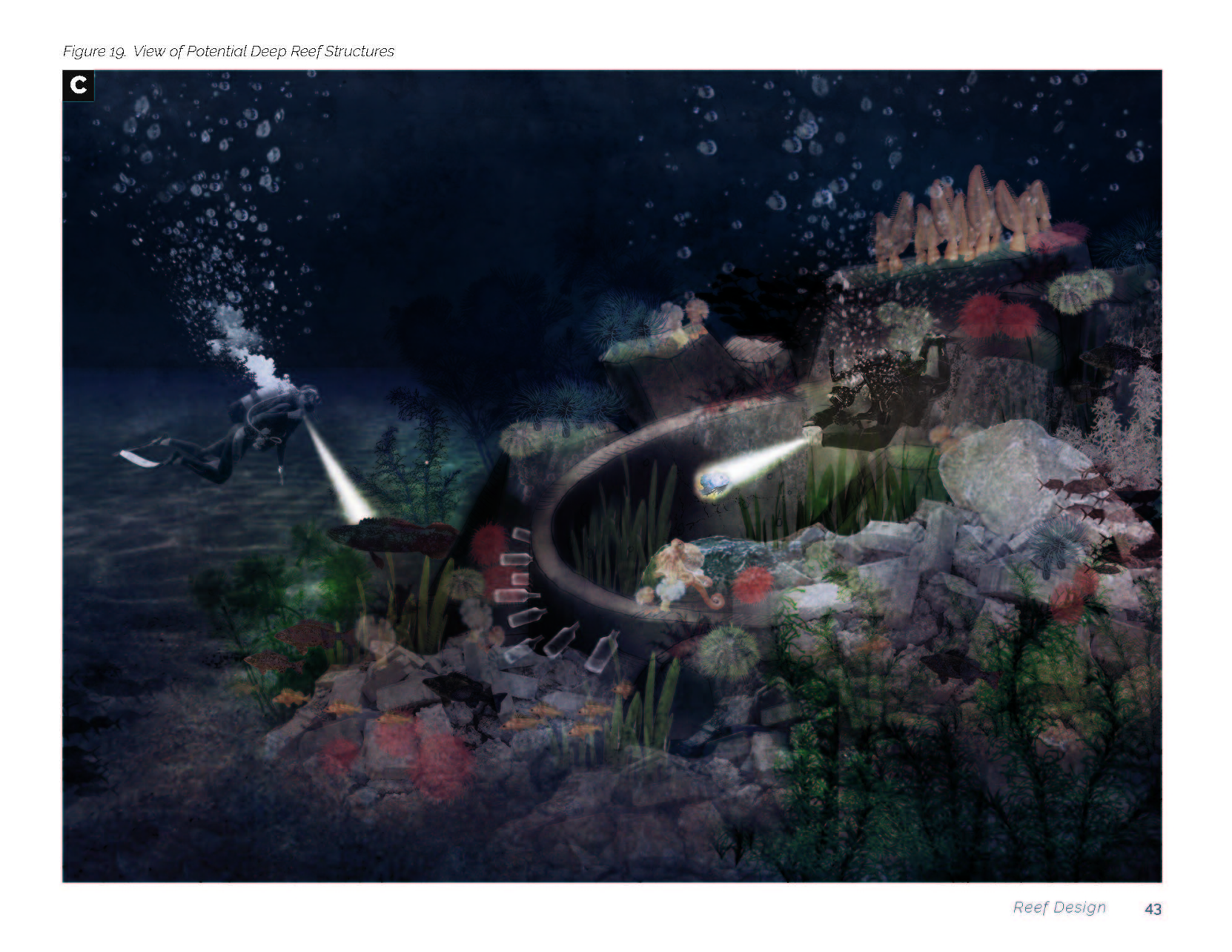 180808_ReefMasterPlan_Page_49