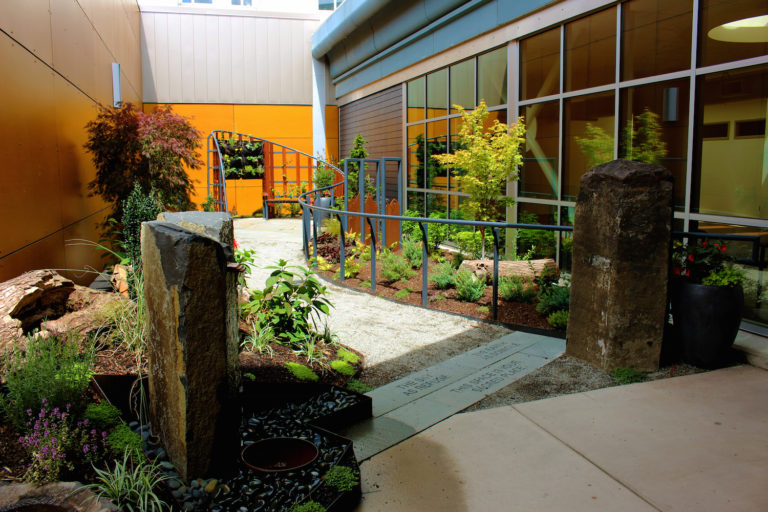 Garden with stone walkway in hospital