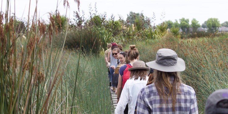 STUDENTS walking away from camera in a field of reeds