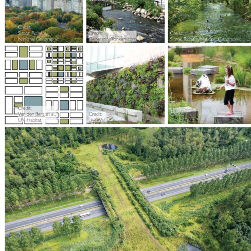 Equitable Public Space Reduced_Page_119