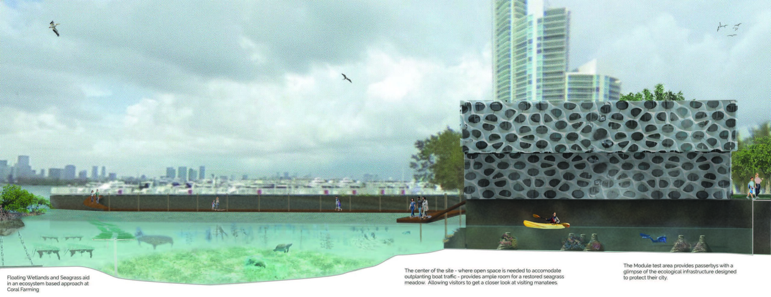 Design with Diploria: Coral Infrastructure for a New Coastal Future