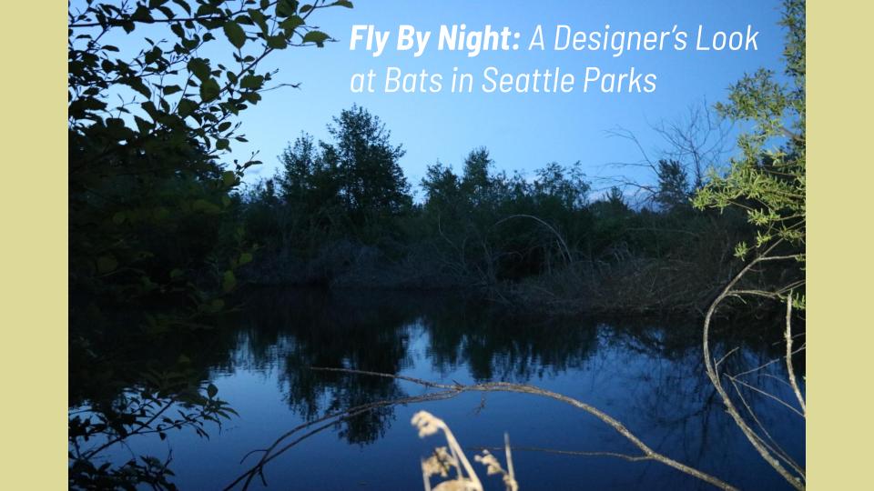 Fly By Night: A Designer’s Look at Bats in Seattle Parks