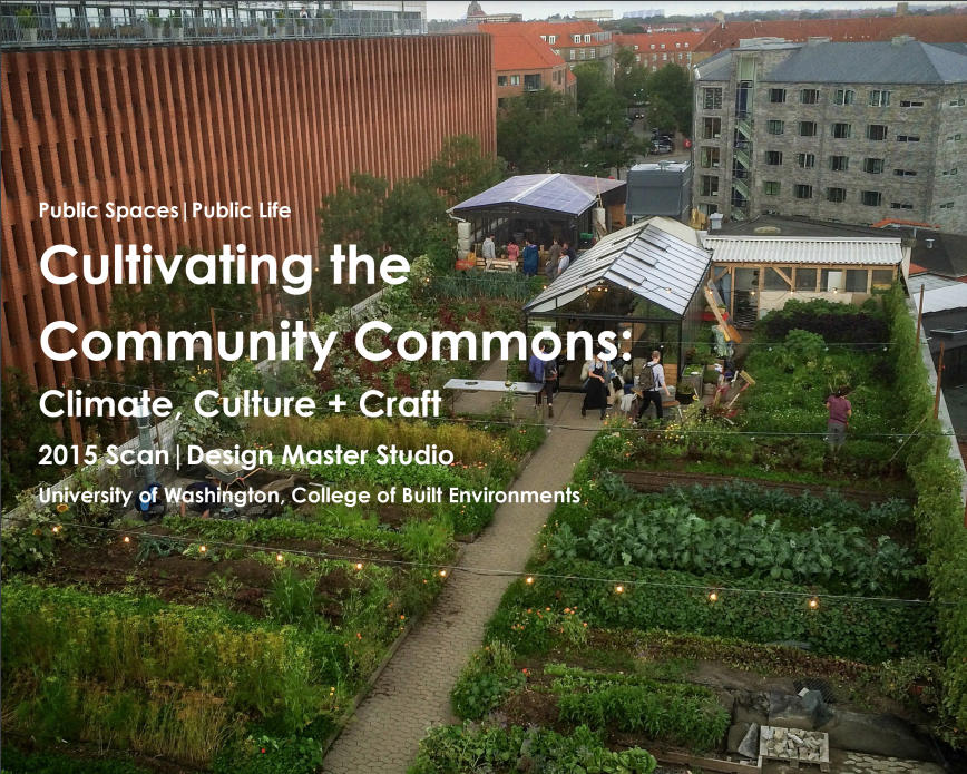 Cultivating the Community Commons: Climate, Culture, Craft