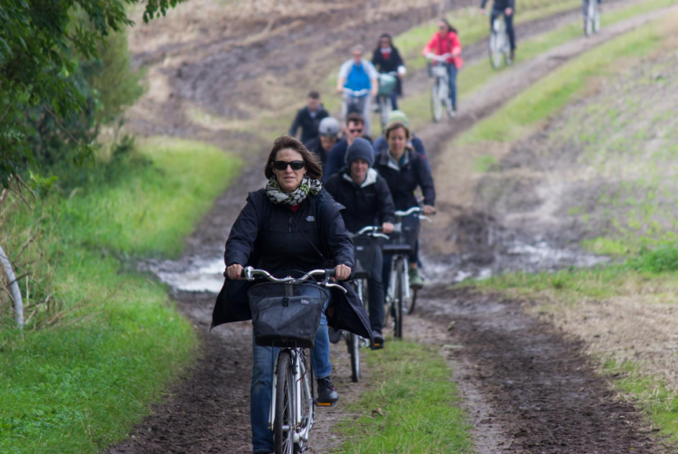 People riding bikes on a trail