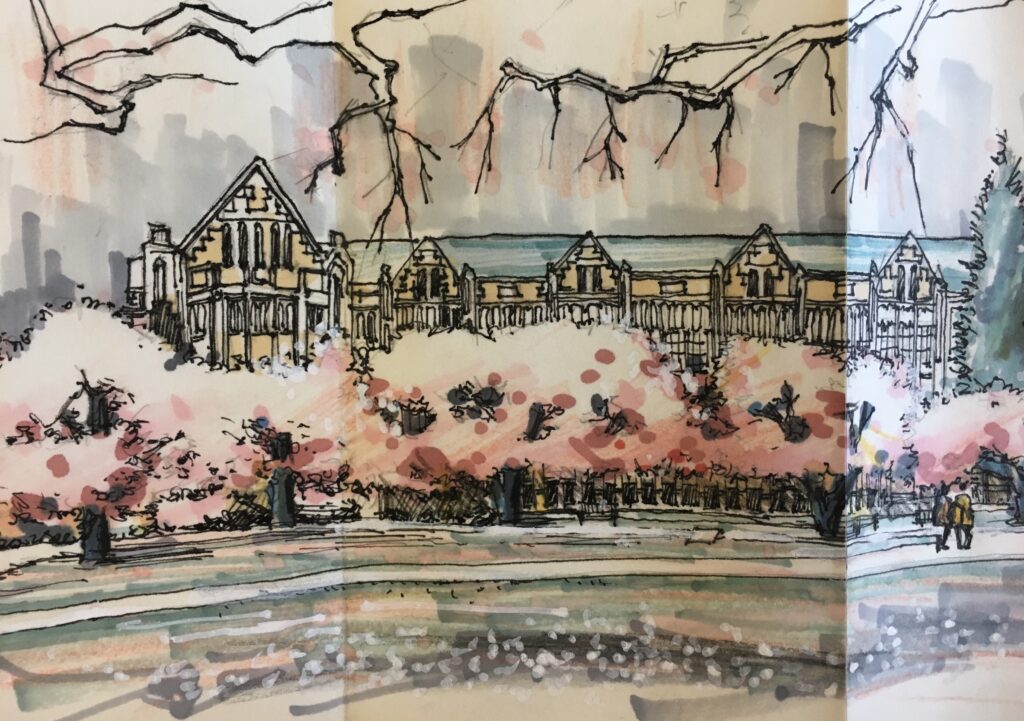 Student illustration of UW Quad Cherry Blossoms during our Spring 2018 Drawing Workshop with Ron Henderson.