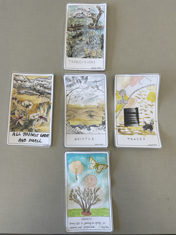 5 drawn tarot cards laid out in a cross shape