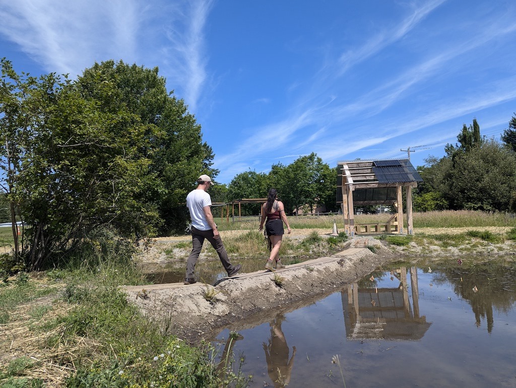 people walking across dirt path through pond