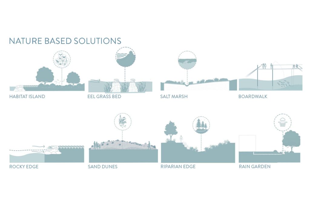 blue and white diagrams showing: habitat island, eel grass bed, salt marsh, boardwalk, rocky edge, sand dunes, riparian edge, and rain garden