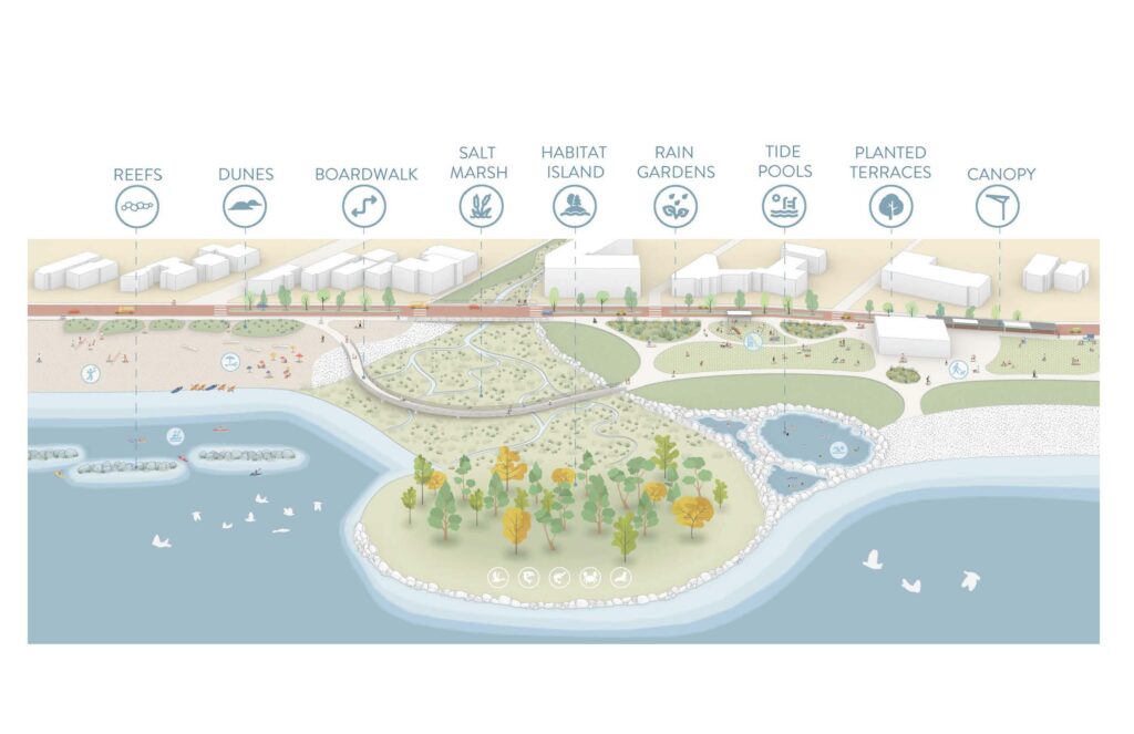 Rendered view of Alki beach showing: reefs, dunes, boardwalk, salt marsh, habitat island, rain gardens, tide pools, planted terraces, and canopy