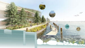 Ecological systems of a waterfront location along the New England Aquarium. A building with a forested edge and boardwalk along the waterfront, featuring callouts of species of plants and sea creatures.